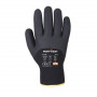 Gant Hiver Arctic