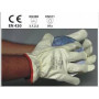 Gants anti-froid COLD/DRIVER