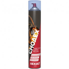 Insecticide guêpes frelons Choaex