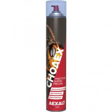 Insecticide guêpes frelons Choaex