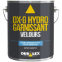 Peinture DX G hydro
